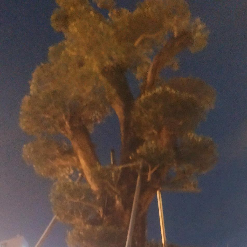 今天的奋斗未来的幸福