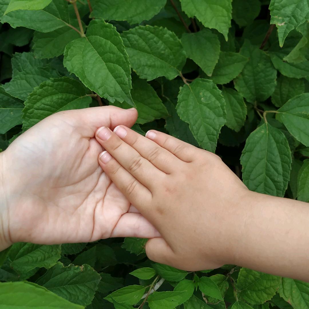 薇薇～爱情❤️堡垒