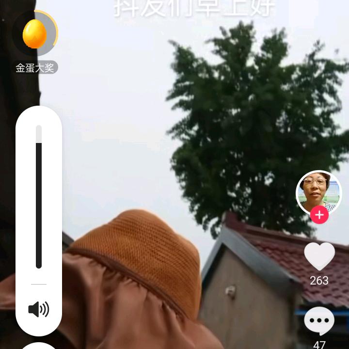 用户650696213693菊花香