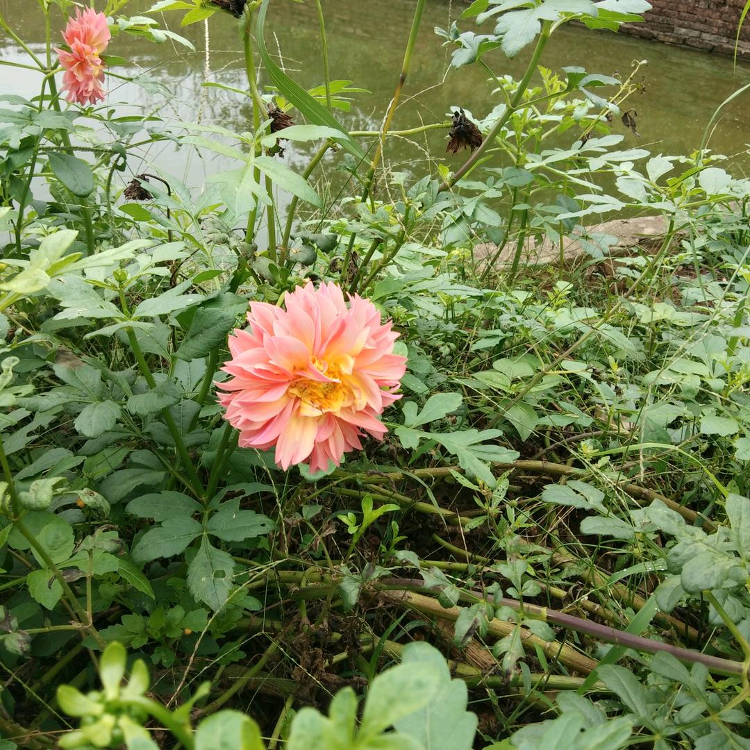 小陈