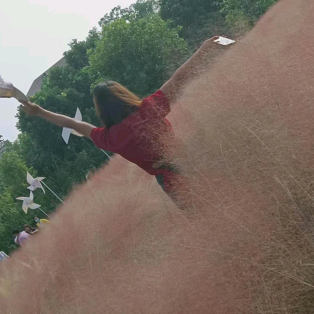 芝芝💖甜酱💋