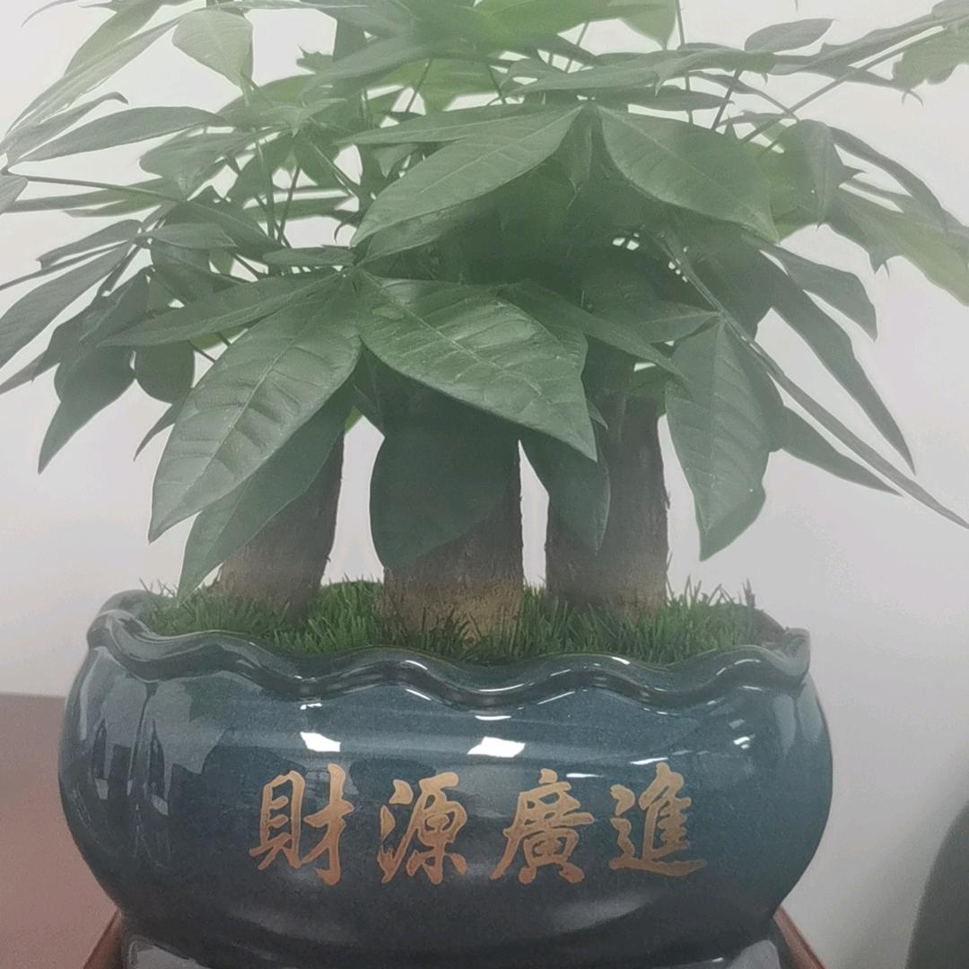 除了努力，别无选择！