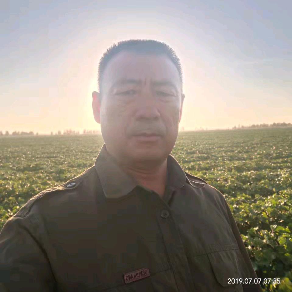 棉花老哥