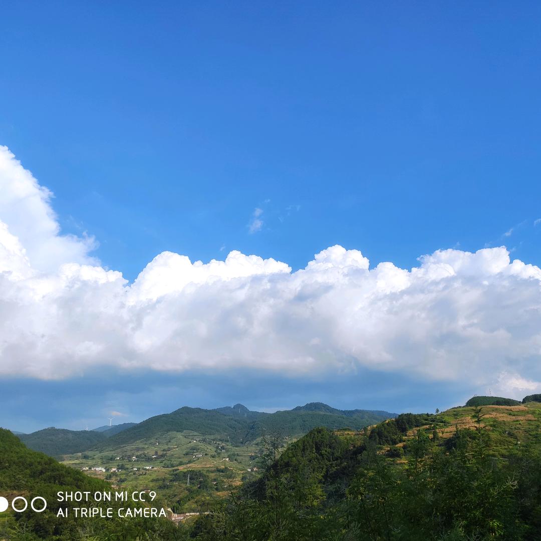 深海里的美人鱼