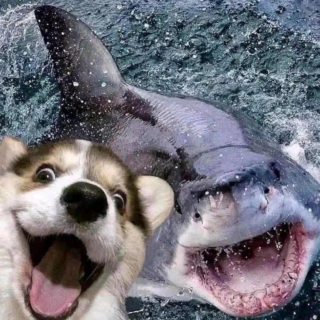 广州宽带-小莫通讯