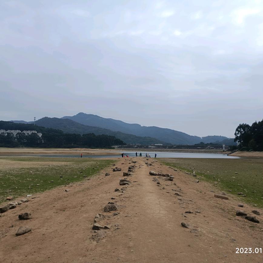 山居品野茶
