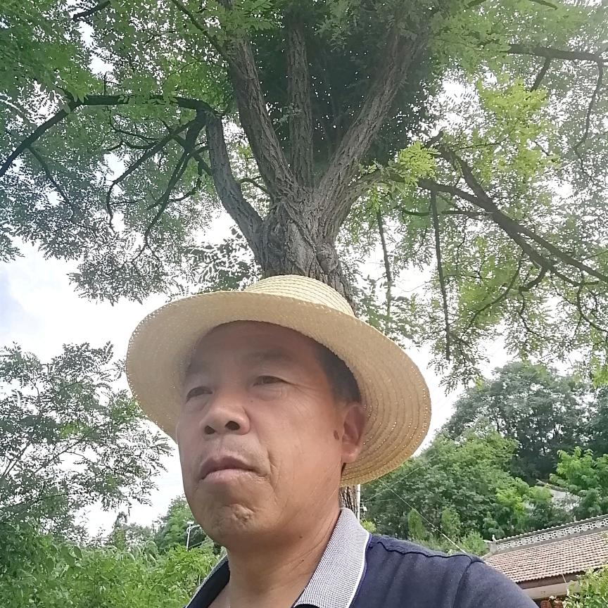 快乐老头