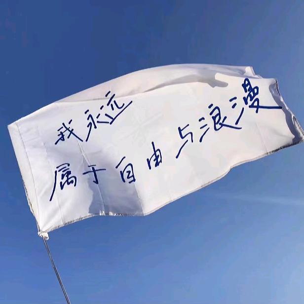 手机壳