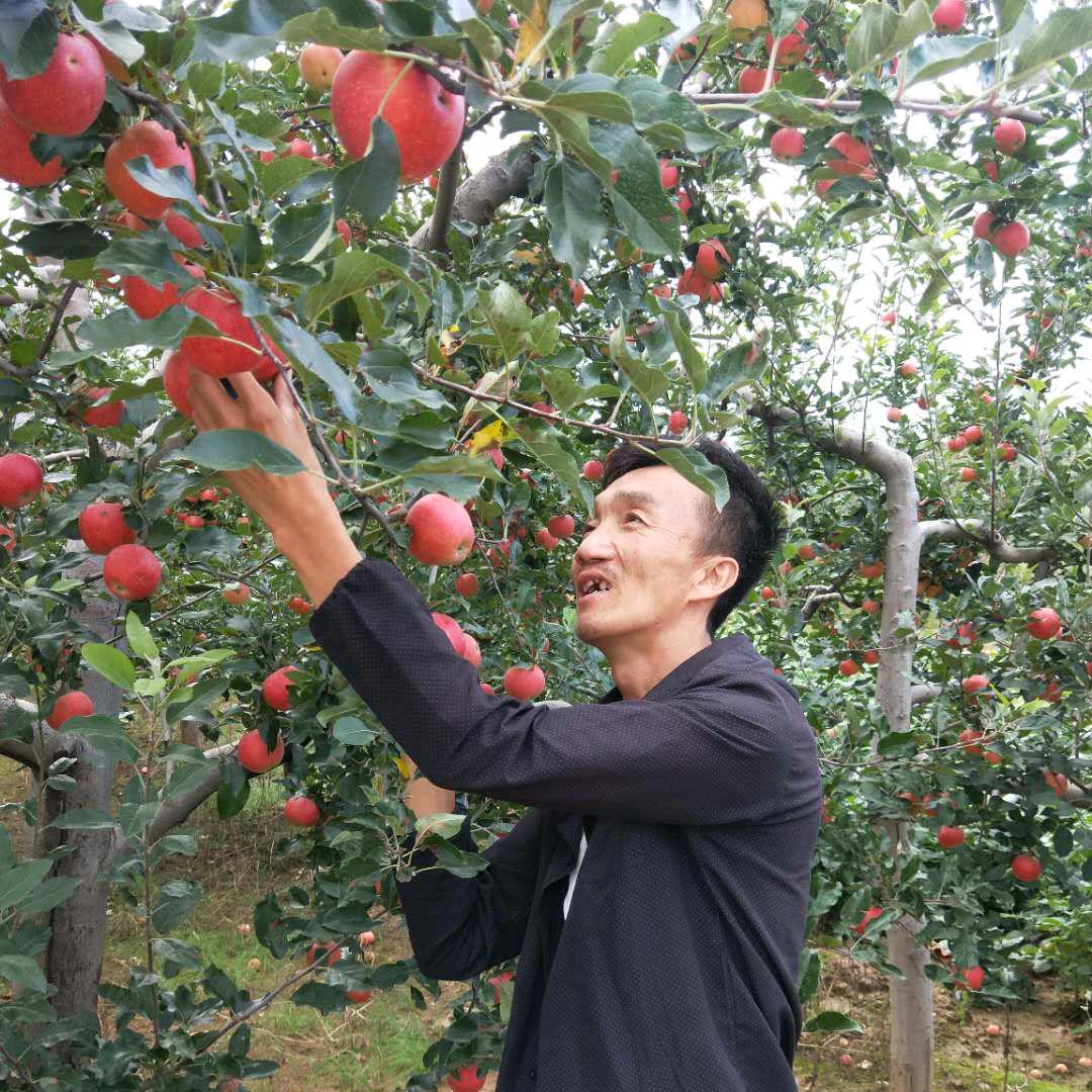 洛川🍎火哥🔥