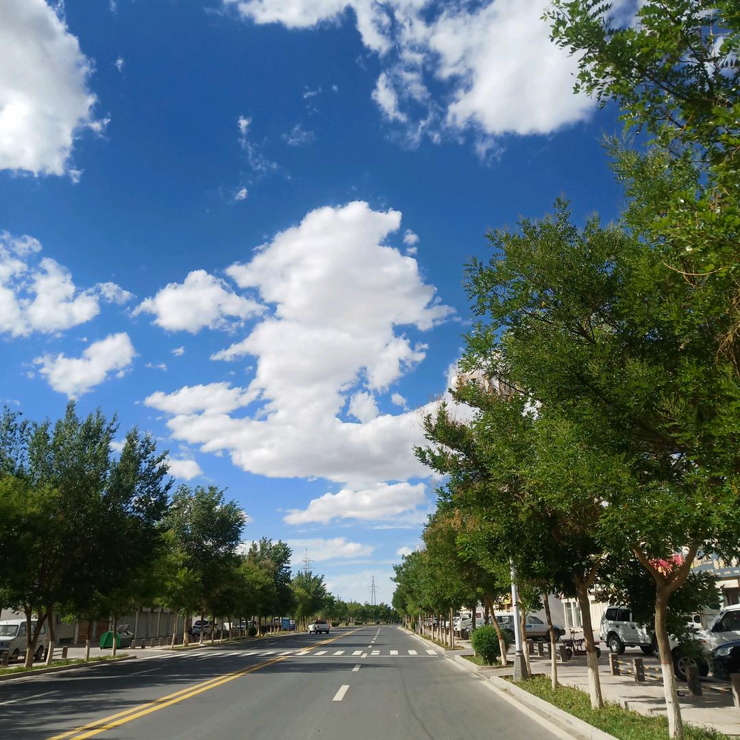 咩咩(尊师沈酒)