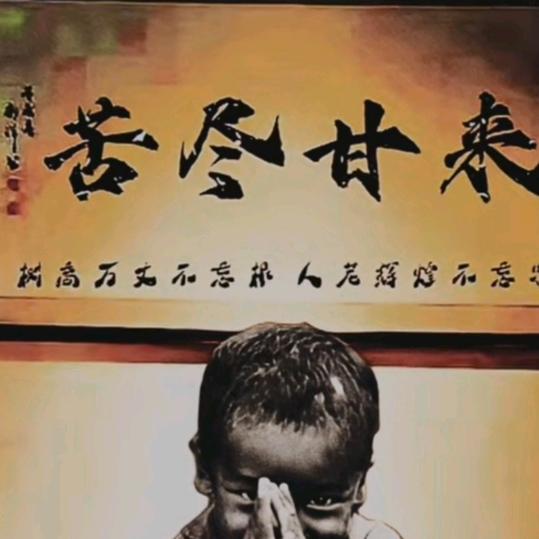 YL小杨