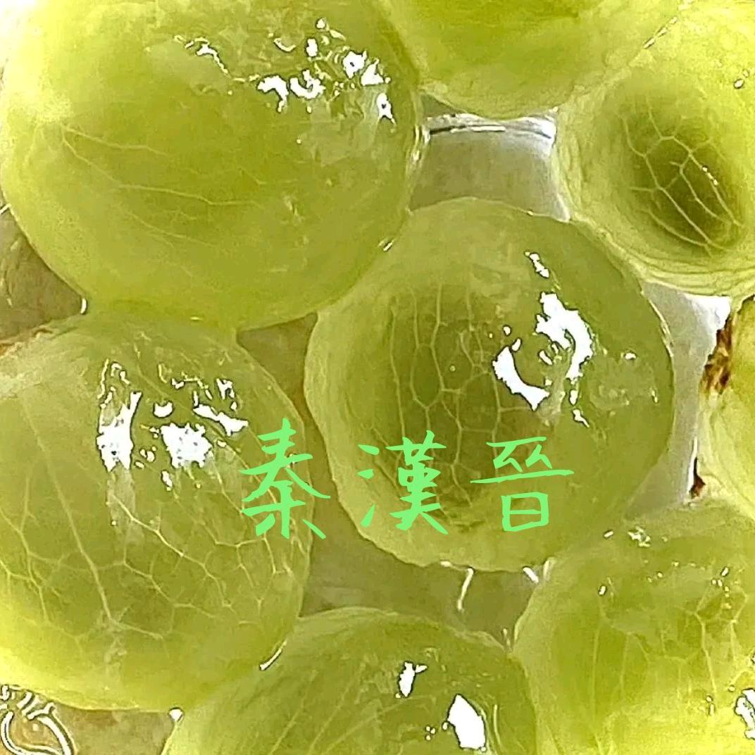 秦漢晉