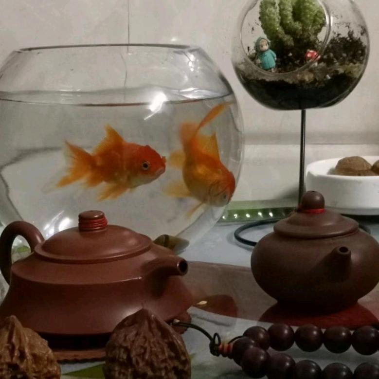 最坚强的人