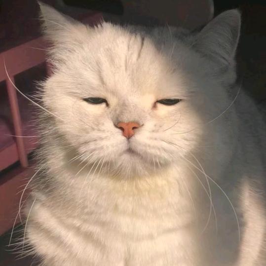 我丢