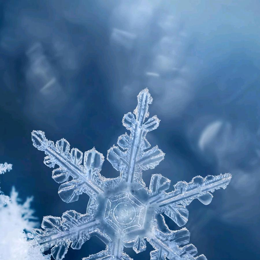 +峨眉雪+