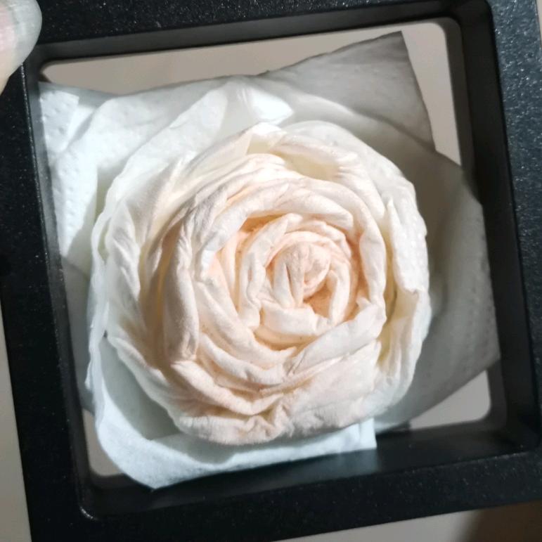 桐年美妆个护