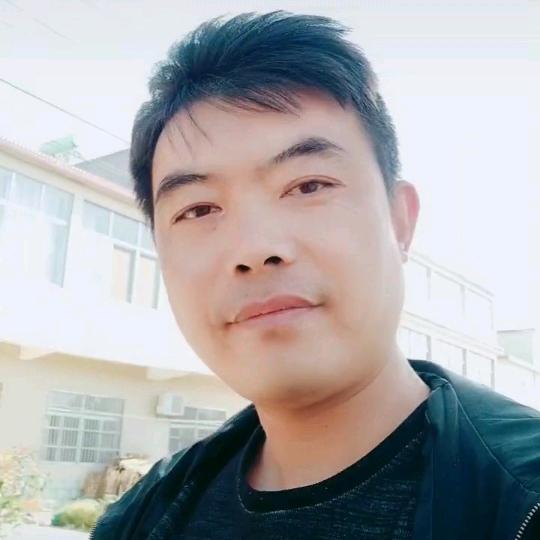 出租大小挖机