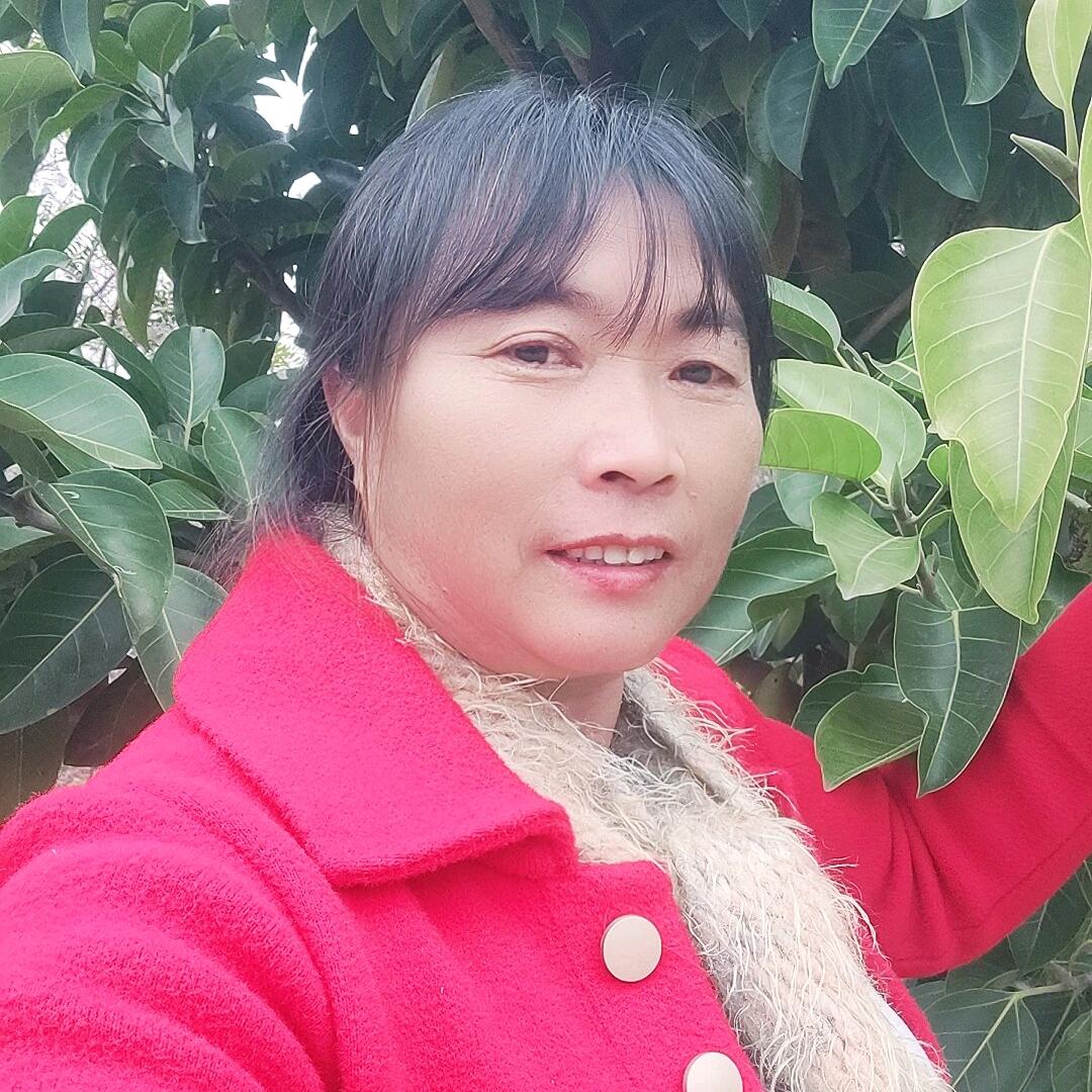 冯柒