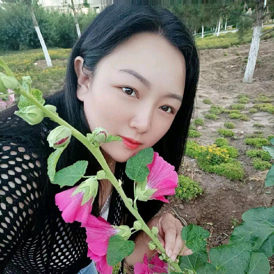 冰婴花洛