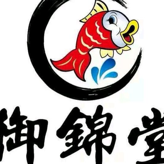 御锦堂锦鲤(杂鱼之家)