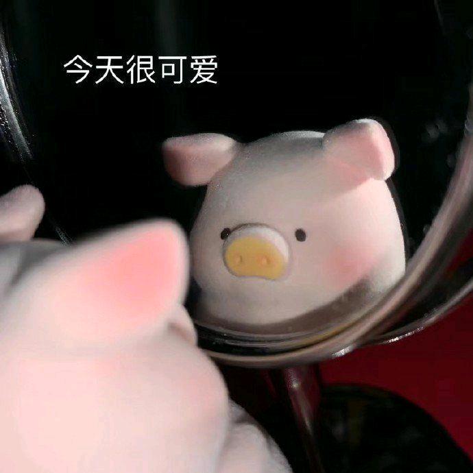 噜啦噜啦小小狗