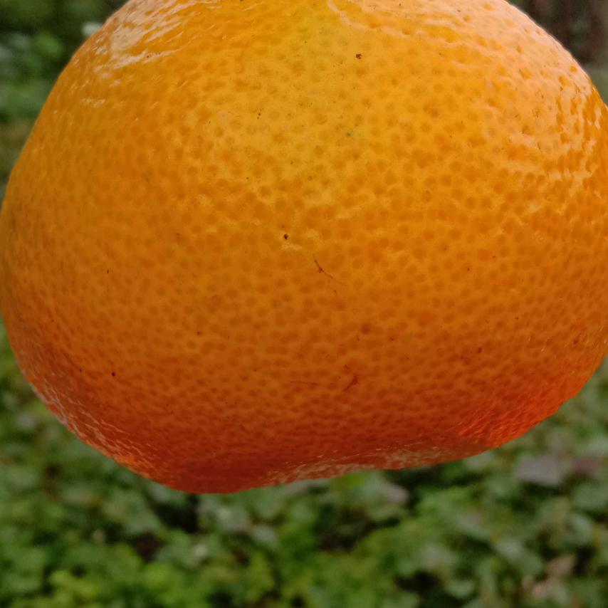 追风