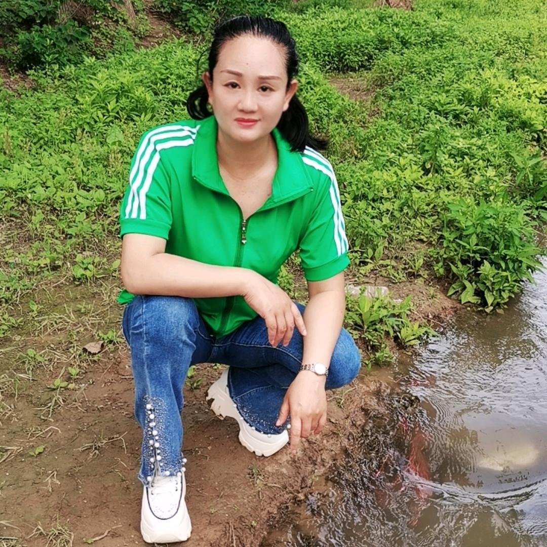 河南小格子