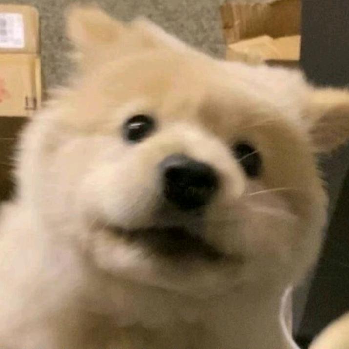 不二酱