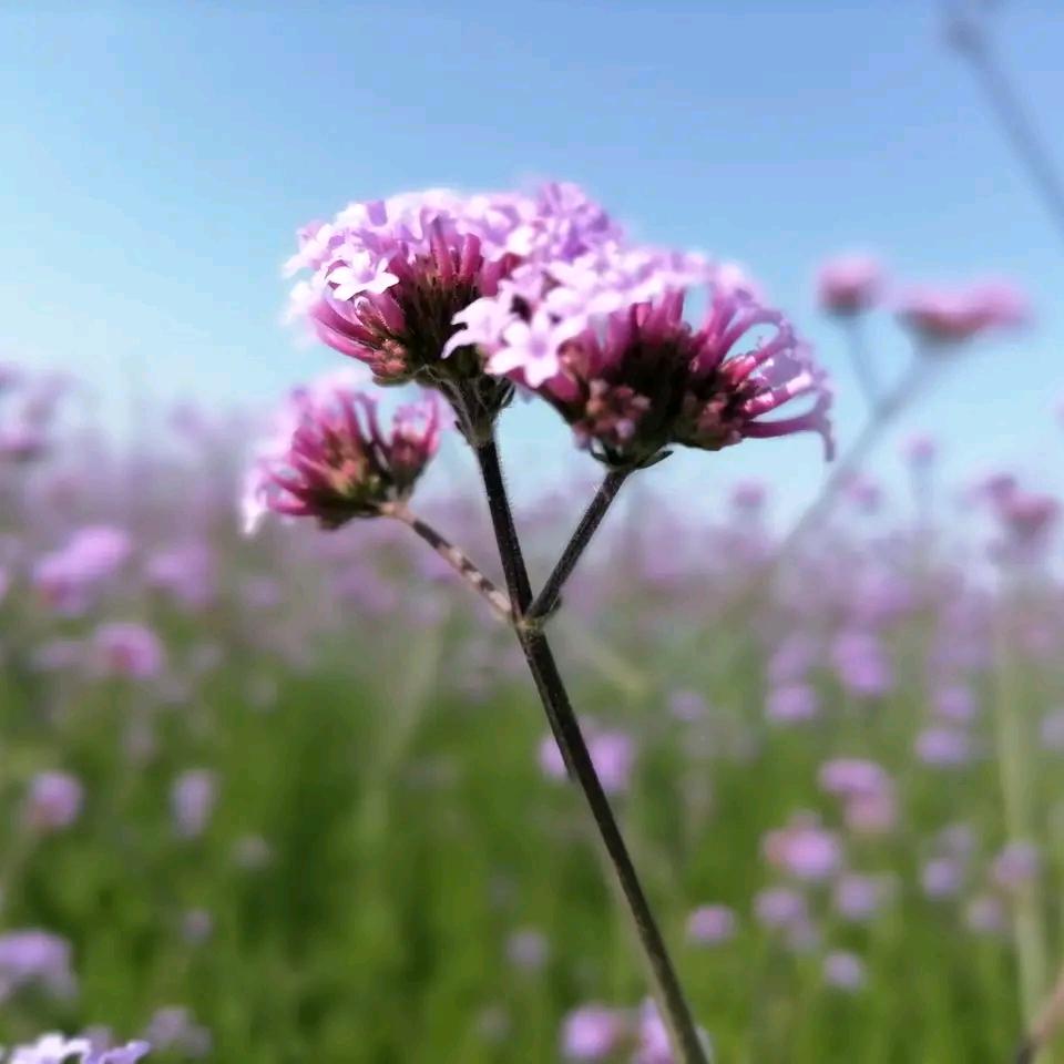 胥洪刚（拒私聊）
