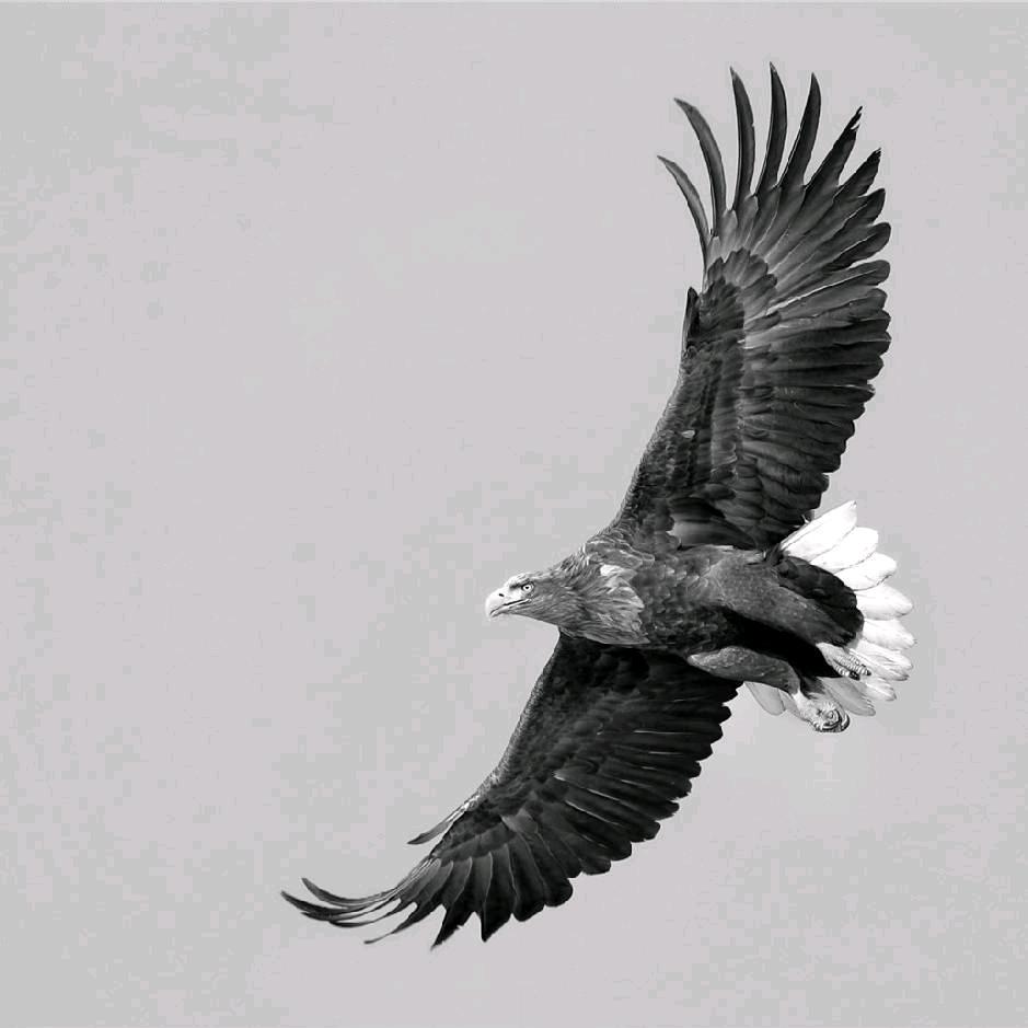 徐同学(商K包厢 酒吧卡座预订)