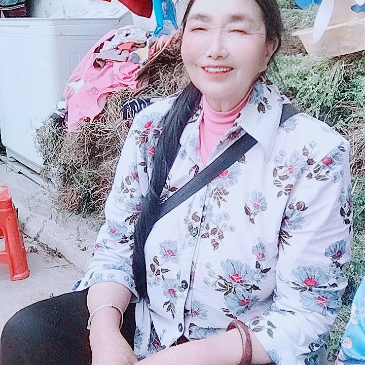 老杨