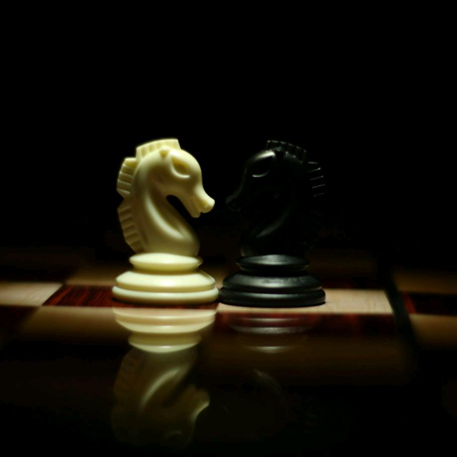 郑好下棋