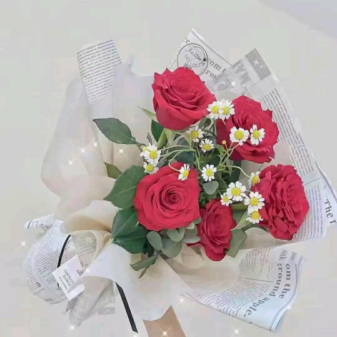 💋💋忘忧草