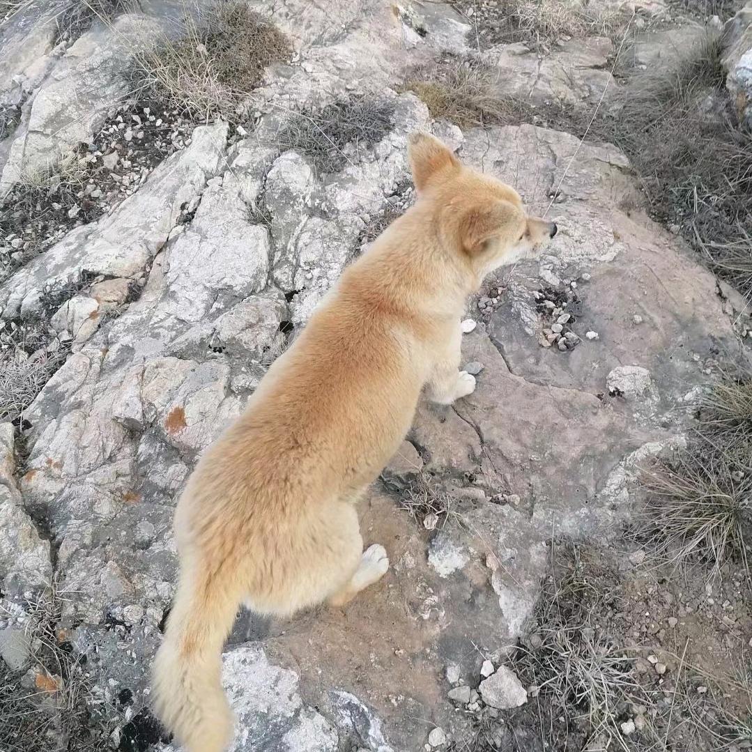 突突突