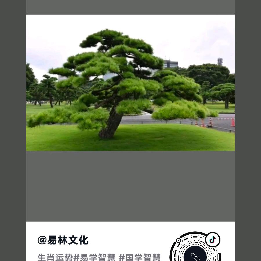 红😊梅