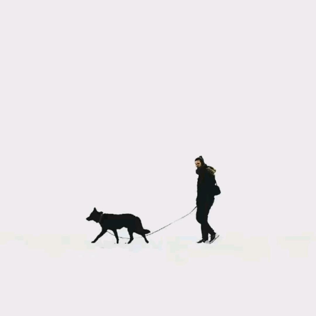 折耳根