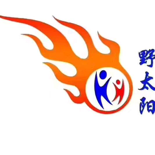 野太阳南北炉具专卖店