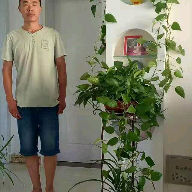 曾凡伟