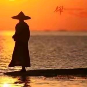 禅龙先生
