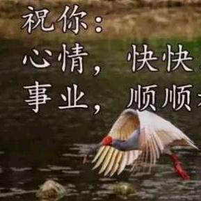 九妹♥
