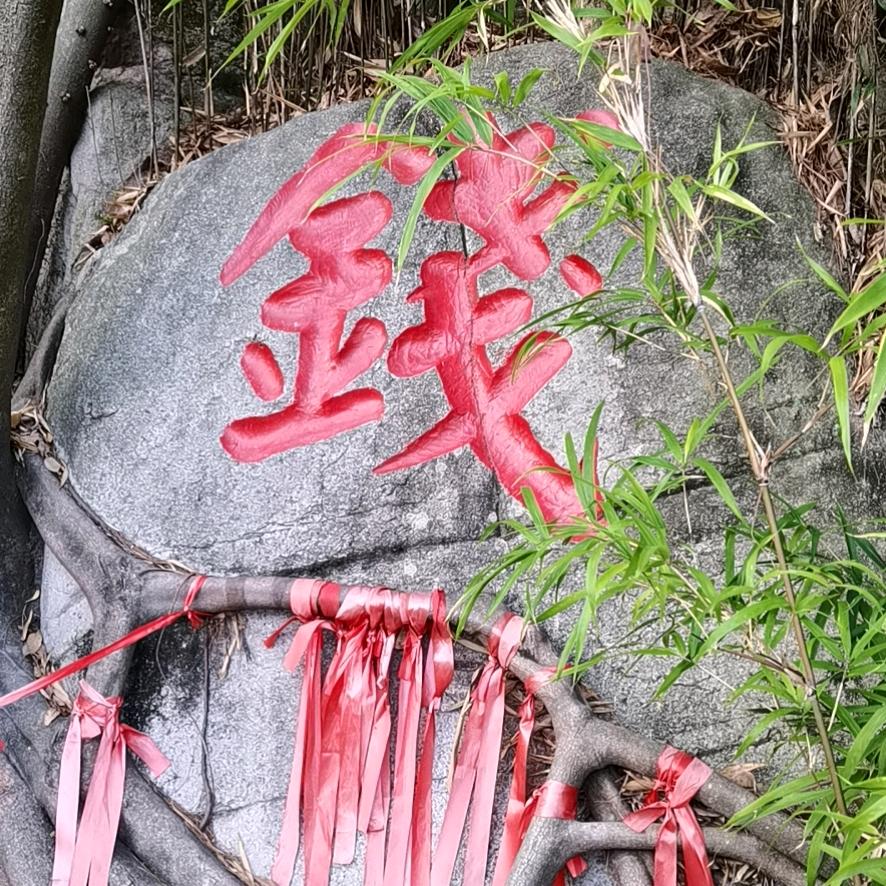 星星点灯户439718