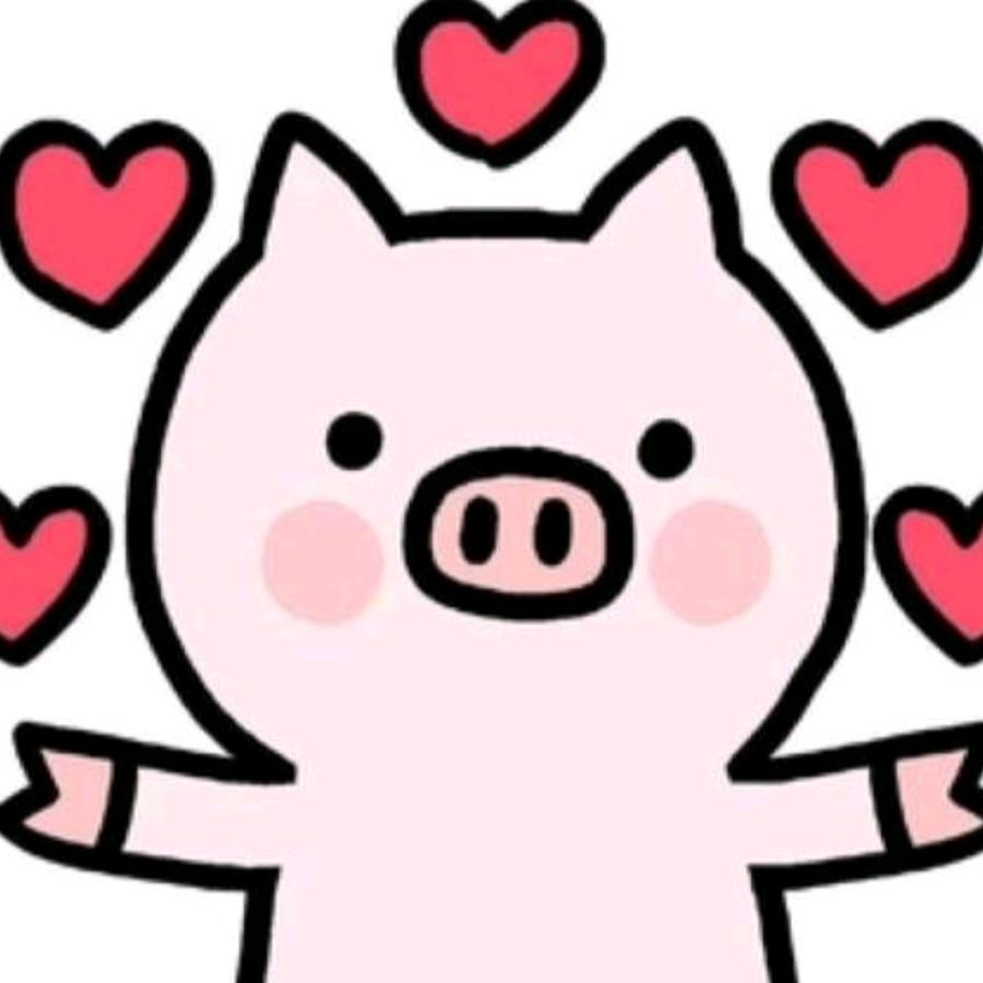 ✨《赵赵姑娘》✨