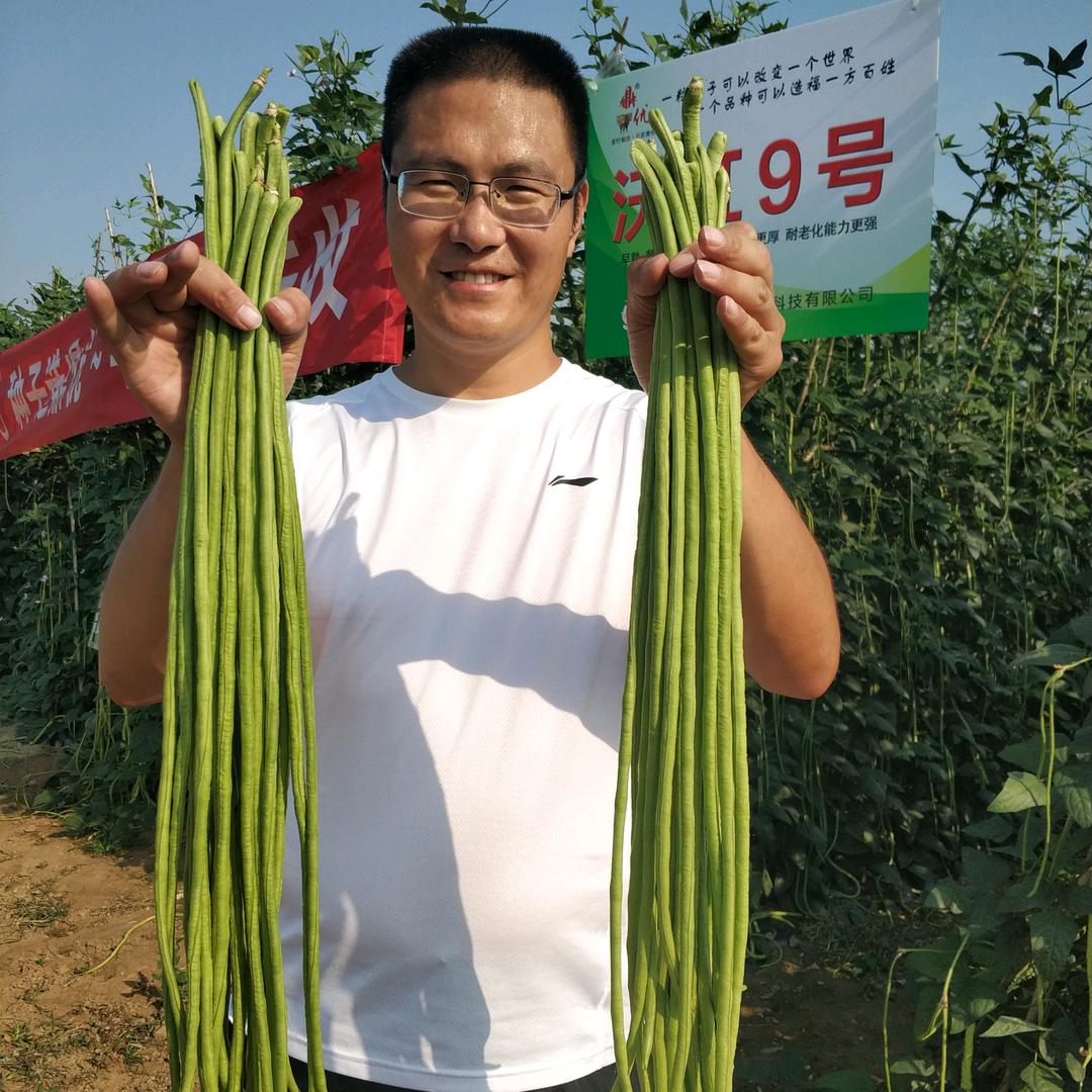 鼎优农业(专注菠菜和豇豆)