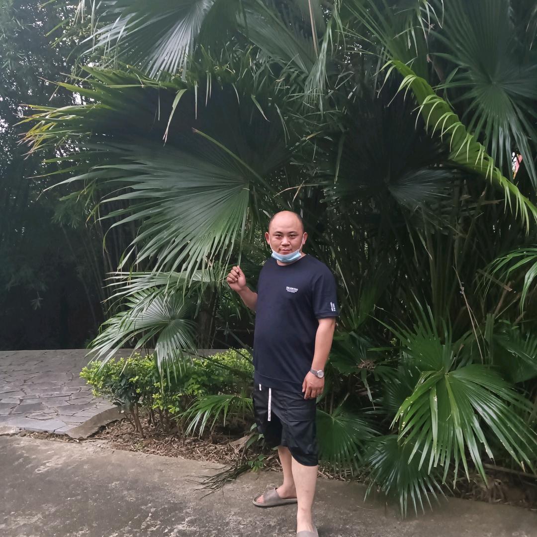 金山阁，客服2号