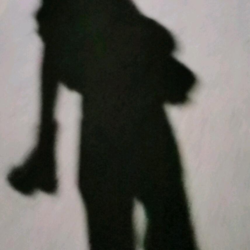 🌈可爱的小～Z