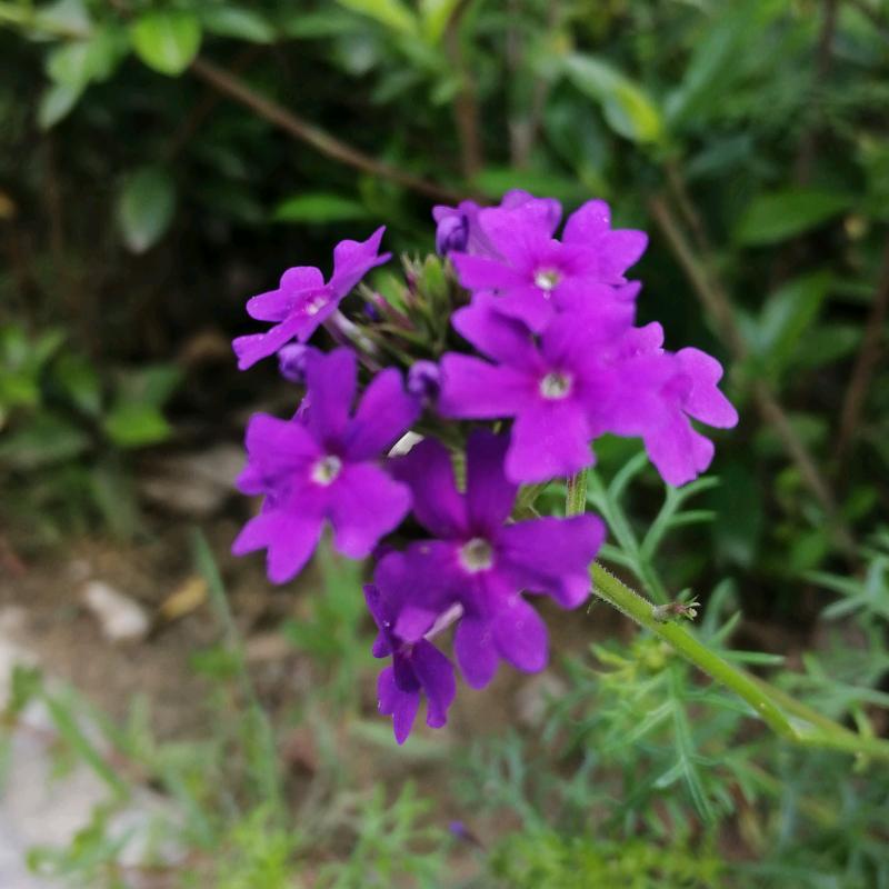 陌然