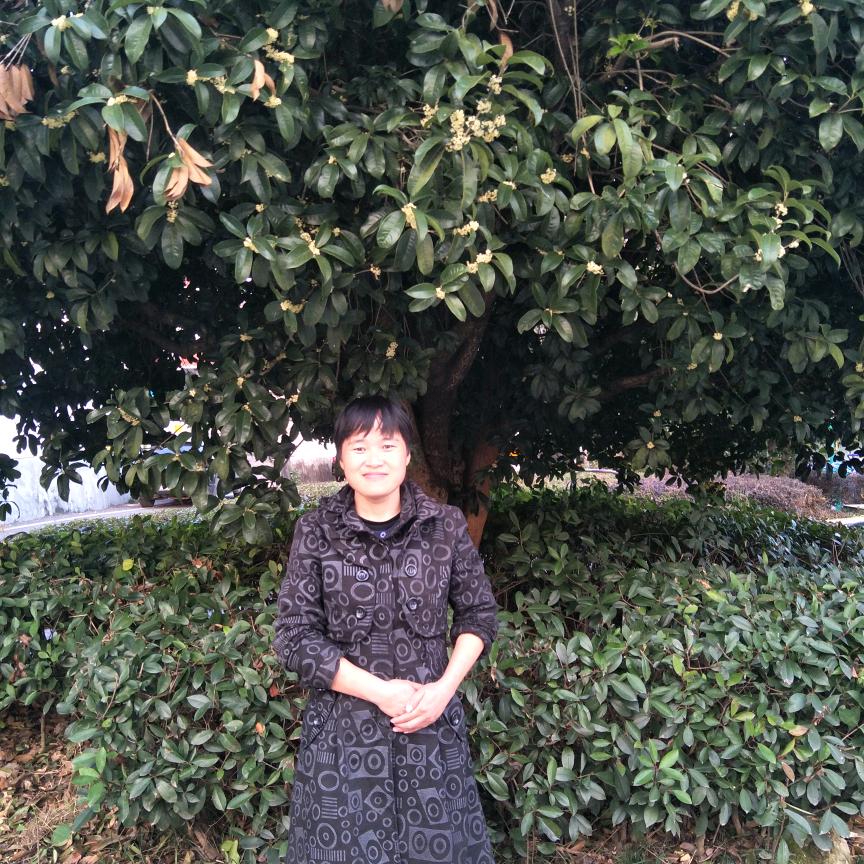 小月月