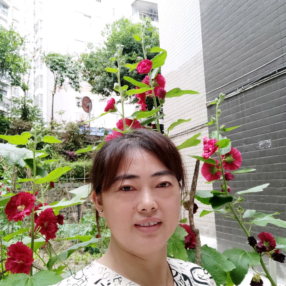 达州阿英姐（橱窗有好物）