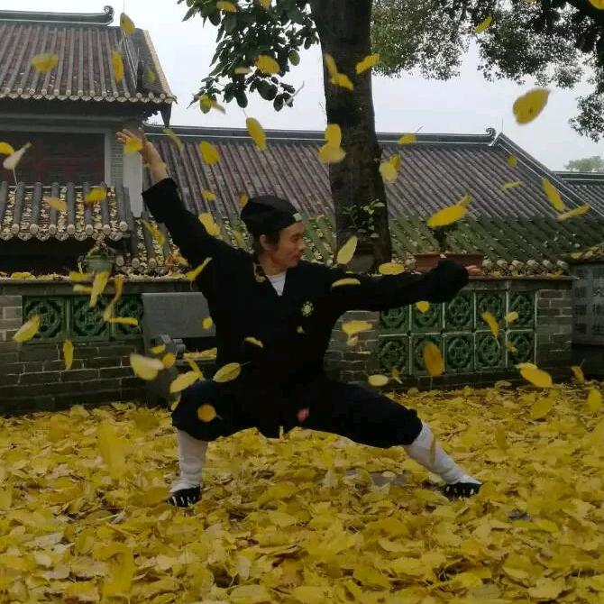武当白师父教养生
