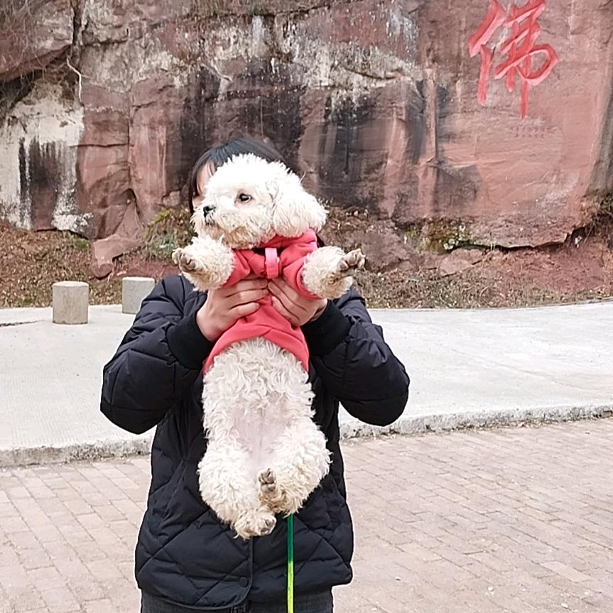 漂泊浪子